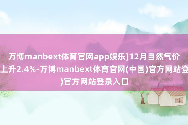 万博manbext体育官网app娱乐)12月自然气价钱指数上升2.4%-万博manbext体育官网(中国)官方网站登录入口