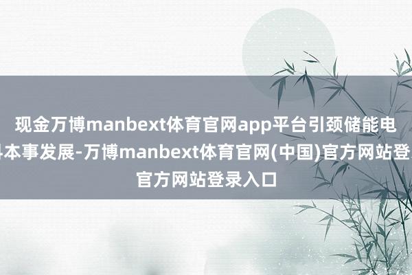 现金万博manbext体育官网app平台引颈储能电芯材料本事发展-万博manbext体育官网(中国)官方网站登录入口