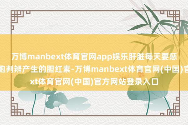 万博manbext体育官网app娱乐肝脏每天要惩办多半失足红细胞判辨产生的胆红素-万博manbext体育官网(中国)官方网站登录入口