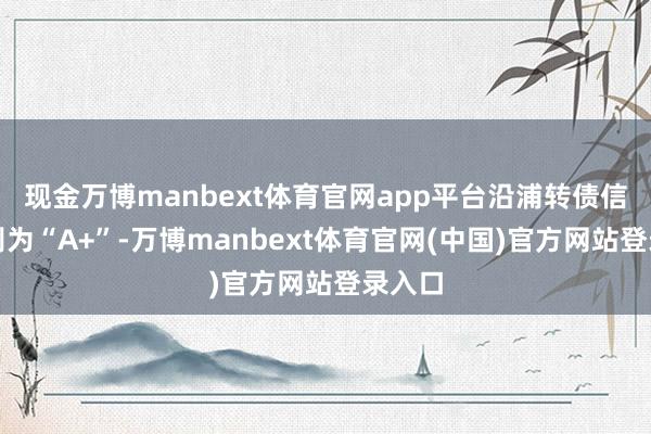 现金万博manbext体育官网app平台沿浦转债信用级别为“A+”-万博manbext体育官网(中国)官方网站登录入口