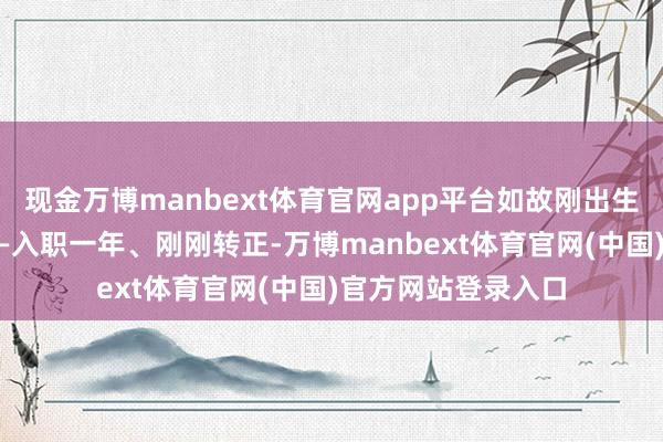 现金万博manbext体育官网app平台如故刚出生手村的助理小白——入职一年、刚刚转正-万博manbext体育官网(中国)官方网站登录入口