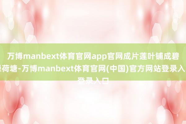 万博manbext体育官网app官网成片莲叶铺成碧绿荷塘-万博manbext体育官网(中国)官方网站登录入口