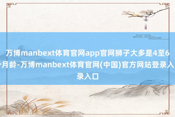 万博manbext体育官网app官网狮子大多是4至6个月龄-万博manbext体育官网(中国)官方网站登录入口