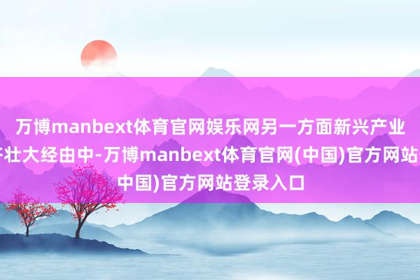 万博manbext体育官网娱乐网另一方面新兴产业仍在接济壮大经由中-万博manbext体育官网(中国)官方网站登录入口
